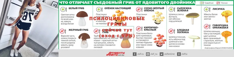 Галлюциногенные грибы мухоморы  наркотики  Красноярск 